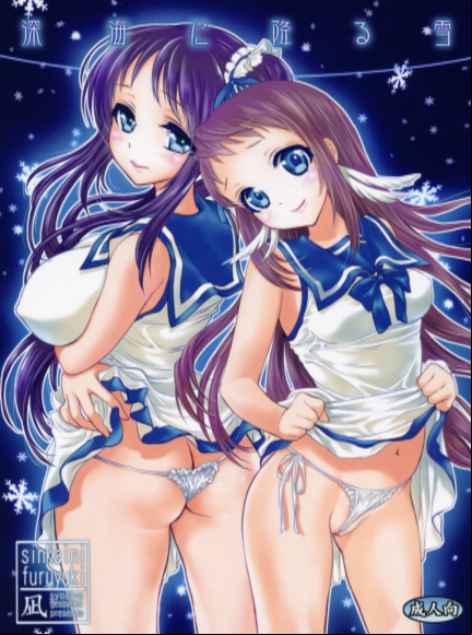 Snow Falling on the Deep Sea
